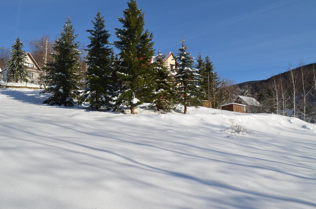 Dom Na Mosornym Groniu Villa Zawoja Dış mekan fotoğraf