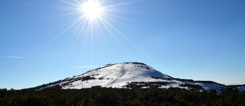 Dom Na Mosornym Groniu Villa Zawoja Dış mekan fotoğraf