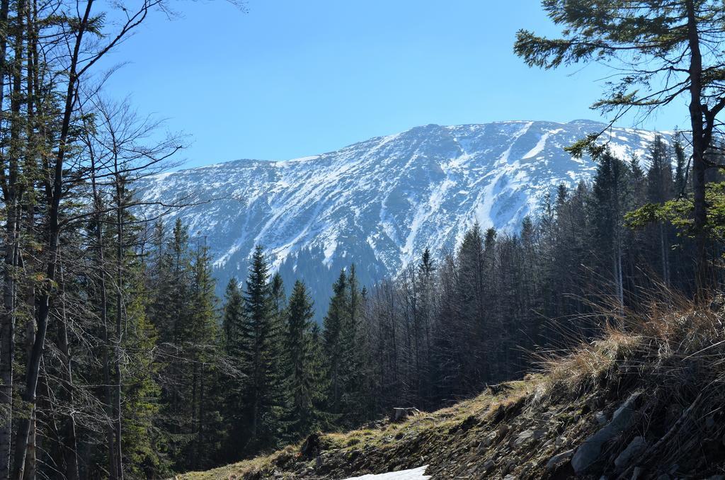 Dom Na Mosornym Groniu Villa Zawoja Dış mekan fotoğraf